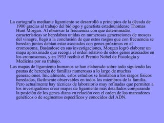 La cartografía mediante ligamiento se desarrolló a principios de la década de 1900 gracias al trabajo del biólogo y genetista estadounidense Thomas Hunt Morgan. Al observar la frecuencia con que determinadas características se heredaban unidas en numerosas generaciones de moscas del vinagre, llegó a la conclusión de que estos rasgos que con frecuencia se heredan juntos debían estar asociados con genes próximos en el cromosoma. Basándose en sus investigaciones, Morgan logró elaborar un mapa aproximado que recogía el orden relativo de estos genes asociados en los cromosomas, y en 1933 recibió el Premio Nobel de Fisiología y Medicina por su trabajo. Los mapas de ligamiento humanos se han elaborado sobre todo siguiendo las pautas de herencia de familias numerosas a lo largo de muchas generaciones. Inicialmente, estos estudios se limitaban a los rasgos físicos heredados, fácilmente observables en todos los miembros de la familia. Pero actualmente hay técnicas de laboratorio muy refinadas que permiten a los investigadores crear mapas de ligamiento más detallados comparando la posición de los genes diana en relación con el orden de los marcadores genéticos o de segmentos específicos y conocidos del ADN. 