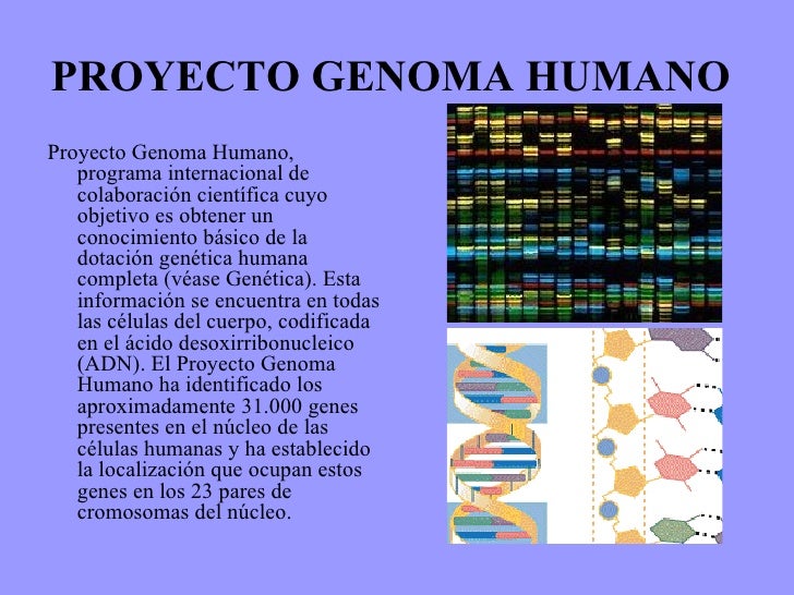 Proyecto Genoma Humano