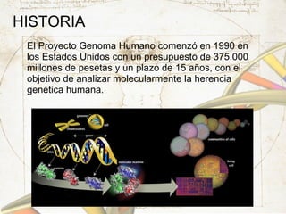 HISTORIA  El Proyecto Genoma Humano comenzó en 1990 en los Estados Unidos con un presupuesto de 375.000 millones de pesetas y un plazo de 15 años, con el objetivo de analizar molecularmente la herencia genética humana. 