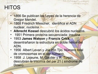 HITOS 1866 Se publican las Leyes de la herencia de Gregor Mendel.  1868 Friedrich Miescher,  identifica el ADN nuclear,  nucleína . Albrecht Kossel  descubrió los ácidos nucleicos.   1951 Primera proteína secuenciada: insulina 1953  James Watson  y  Francis Crick  desentrañaron la estructura en doble hélice del ADN. 1956  Albert Levan y Joe Hin Tjio. Número total de cromosomas en el ser humano. 1958  J. Lejeune, M. Gautier y R. Turpin, descubren la trisomía del par 21 ( síndrome de Down). 