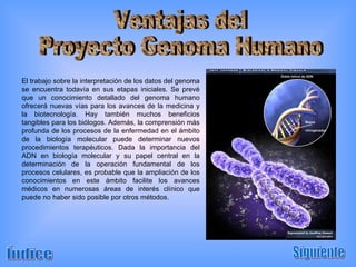 Índice Siguiente Ventajas del Proyecto Genoma Humano El trabajo sobre la interpretación de los datos del genoma se encuentra todavía en sus etapas iniciales. Se prevé que un conocimiento detallado del genoma humano ofrecerá nuevas vías para los avances de la medicina y la biotecnología. Hay también muchos beneficios tangibles para los biólogos. Además, la comprensión más profunda de los procesos de la enfermedad en el ámbito de la biología molecular puede determinar nuevos procedimientos terapéuticos. Dada la importancia del ADN en biología molecular y su papel central en la determinación de la operación fundamental de los procesos celulares, es probable que la ampliación de los conocimientos en este ámbito facilite los avances médicos en numerosas áreas de interés clínico que puede no haber sido posible por otros métodos. 