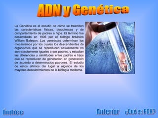 La Genética es el estudio de cómo se trasmiten las características físicas, bioquímicas y de comportamiento de padres a hijos. El término fue desarrollado en 1906 por el biólogo británico William Bateson. Los genetistas determinan los mecanismos por los cuales los descendientes de organismos que se reproducen sexualmente no son exactamente iguales a sus padres, y estudian las diferencias y similitudes entre padres e hijos que se reproducen de generación en generación de acuerdo a determinados patrones. El estudio de estos últimos dio lugar a algunos de los mayores descubrimientos de la biología moderna. ADN y Genética ¿Qué es PGH? Anterior Índice 