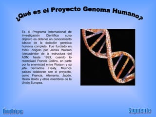 ¿Qué es el Proyecto Genoma Humano? Es el Programa Internacional de Investigación Científica cuyo objetivo es obtener un conocimiento básico de la dotación genética humana completa. Fue fundado en 1990, dirigido por James Watson (descubridor de la estructura del ADN) hasta 1993, cuando lo reemplazó Francis Collins, en parte por la enemistad entre Watson y su jefe Bernadine Healy. Muchos países colaboran con el proyecto, como Francia, Alemania, Japón, Reino Unido y otros miembros de la Unión Europea. Índice Siguiente ¿Qué es el Proyecto Genoma Humano? 