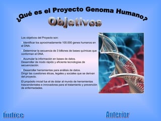 ¿Qué es el Proyecto Genoma Humano? Objetivos Los objetivos del Proyecto son: Identificar los aproximadamente 100.000 genes humanos en el DNA. Determinar la secuencia de 3 billones de bases químicas que conforman el DNA.  Acumular la información en bases de datos.  Desarrollar de modo rápido y eficiente tecnologías de secuenciación. Desarrollar herramientas para análisis de datos.  Dirigir las cuestiones éticas, legales y sociales que se derivan del proyecto.  El propósito inicial fue el de dotar al mundo de herramientas trascendentales e innovadoras para el tratamiento y prevención de enfermedades.  Índice Anterior 
