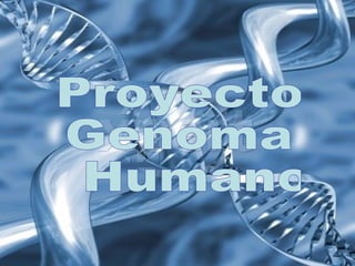Proyecto Genoma Humano 