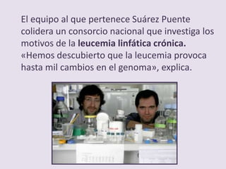 El equipo al que pertenece Suárez Puente
colidera un consorcio nacional que investiga los
motivos de la leucemia linfática crónica.
«Hemos descubierto que la leucemia provoca
hasta mil cambios en el genoma», explica.
 