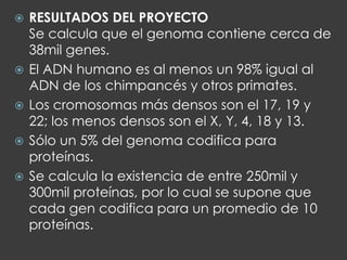  RESULTADOS DEL PROYECTO
Se calcula que el genoma contiene cerca de
38mil genes.
 El ADN humano es al menos un 98% igual al
ADN de los chimpancés y otros primates.
 Los cromosomas más densos son el 17, 19 y
22; los menos densos son el X, Y, 4, 18 y 13.
 Sólo un 5% del genoma codifica para
proteínas.
 Se calcula la existencia de entre 250mil y
300mil proteínas, por lo cual se supone que
cada gen codifica para un promedio de 10
proteínas.
 