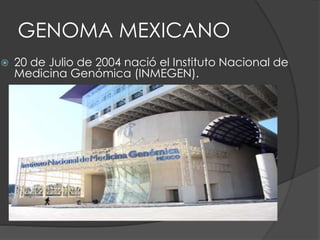 GENOMA MEXICANO
 20 de Julio de 2004 nació el Instituto Nacional de
Medicina Genómica (INMEGEN).
 