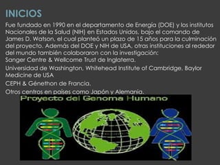 INICIOS
Fue fundado en 1990 en el departamento de Energía (DOE) y los institutos
Nacionales de la Salud (NIH) en Estados Unidos, bajo el comando de
James D. Watson, el cual planteó un plazo de 15 años para la culminación
del proyecto. Además del DOE y NIH de USA, otras instituciones al rededor
del mundo también colaboraron con la investigación:
Sanger Centre & Wellcome Trust de Inglaterra.
Universidad de Washington, Whitehead Institute of Cambridge, Baylor
Medicine de USA
CEPH & Génethon de Francia.
Otros centros en países como Japón y Alemania.
 
