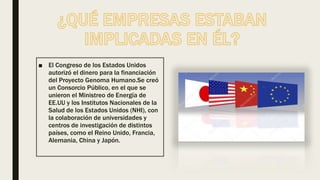 ■ El Congreso de los Estados Unidos
autorizó el dinero para la financiación
del Proyecto Genoma Humano.Se creó
un Consorcio Público, en el que se
unieron el Ministreo de Energía de
EE.UU y los Institutos Nacionales de la
Salud de los Estados Unidos (NHI), con
la colaboración de universidades y
centros de investigación de distintos
países, como el Reino Unido, Francia,
Alemania, China y Japón.
 