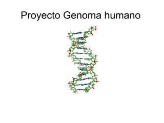 Proyecto Genoma humano  
