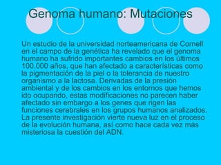 Genoma humano: Mutaciones Un estudio de la universidad norteamericana de Cornell en el campo de la genética ha revelado que el genoma humano ha sufrido importantes cambios en los últimos 100.000 años, que han afectado a características como la pigmentación de la piel o la tolerancia de nuestro organismo a la lactosa. Derivadas de la presión ambiental y de los cambios en los entornos que hemos ido ocupando, estas modificaciones no parecen haber afectado sin embargo a los genes que rigen las funciones cerebrales en los grupos humanos analizados. La presente investigación vierte nueva luz en el proceso de la evolución humana, así como hace cada vez más misteriosa la cuestión del ADN.  