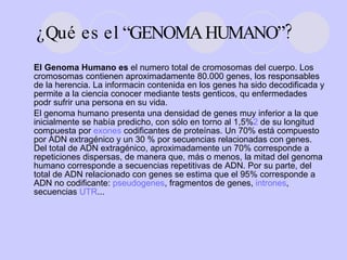 ¿Qué es el “GENOMA HUMANO”? El Genoma Humano es  el numero total de cromosomas del cuerpo. Los cromosomas contienen aproximadamente 80.000 genes, los responsables de la herencia. La informacin contenida en los genes ha sido decodificada y permite a la ciencia conocer mediante tests genticos, qu enfermedades podr sufrir una persona en su vida.  El genoma humano presenta una densidad de genes muy inferior a la que inicialmente se había predicho, con sólo en torno al 1,5% 2  de su longitud compuesta por  exones  codificantes de proteínas. Un 70% está compuesto por ADN extragénico y un 30 % por secuencias relacionadas con genes. Del total de ADN extragénico, aproximadamente un 70% corresponde a repeticiones dispersas, de manera que, más o menos, la mitad del genoma humano corresponde a secuencias repetitivas de ADN. Por su parte, del total de ADN relacionado con genes se estima que el 95% corresponde a ADN no codificante:  pseudogenes , fragmentos de genes,  intrones , secuencias  UTR ... 