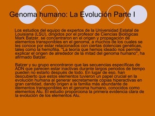 Genoma humano: La Evolución Parte I Los estudios del equipo de expertos de la Universidad Estatal de Louisiana (LSU), dirigidos por el profesor de Ciencias Biológicas Mark Batzer, se concentraron en el origen y propagación de elementos transponibles en el genoma, a muchos de los cuales se les conoce por estar relacionados con ciertas dolencias genéticas, tales como la hemofilia. "La teoría que hemos ideado nos permite explicar el origen de alrededor de la mitad del genoma humano", ha afirmado Batzer. Batzer y su grupo encontraron que las secuencias específicas de ADN que parecen estar inactivas durante largos periodos de tiempo pueden no estarlo después de todo. En lugar de eso, han descubierto que estos elementos tuvieron un papel crucial en la evolución humana al generar secretamente copias hiperactivas en gran cantidad, dando origen a la familia más abundante de elementos transponibles en el genoma humano, conocidos como elementos Alu. El estudio proporciona la primera evidencia clara de la evolución de los elementos Alu. 