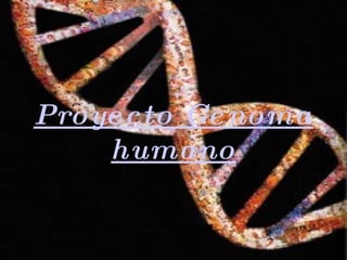 Proyecto Genoma humano 