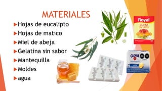 MATERIALES
Hojas de eucalipto
Hojas de matico
Miel de abeja
Gelatina sin sabor
Mantequilla
Moldes
agua
 