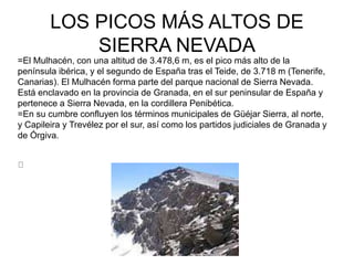 LOS PICOS MÁS ALTOS DE
SIERRA NEVADA
=El Mulhacén, con una altitud de 3.478,6 m, es el pico más alto de la
península ibérica, y el segundo de España tras el Teide, de 3.718 m (Tenerife,
Canarias). El Mulhacén forma parte del parque nacional de Sierra Nevada.
Está enclavado en la provincia de Granada, en el sur peninsular de España y
pertenece a Sierra Nevada, en la cordillera Penibética.
=En su cumbre confluyen los términos municipales de Güéjar Sierra, al norte,
y Capileira y Trevélez por el sur, así como los partidos judiciales de Granada y
de Órgiva.
 