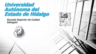 Universidad
Autónoma del
Estado de Hidalgo
Escuela Superior de Cuidad
Sahagún
 