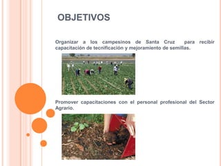 OBJETIVOS
Organizar a los campesinos de Santa Cruz para recibir
capacitación de tecnificación y mejoramiento de semillas.
Promover capacitaciones con el personal profesional del Sector
Agrario.
 