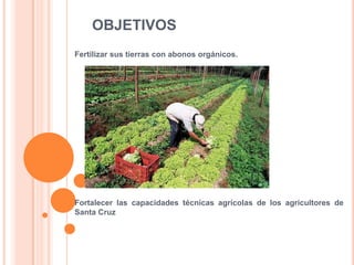 OBJETIVOS
Fertilizar sus tierras con abonos orgánicos.
Fortalecer las capacidades técnicas agrícolas de los agricultores de
Santa Cruz
 