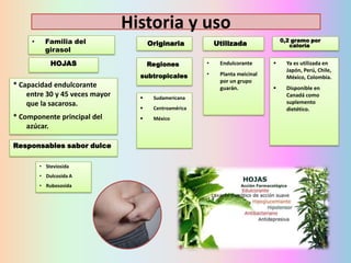 Historia y uso
•

Familia del
girasol

Originaria

HOJAS

0,2 gramo por
caloría

Utilizada

* Componente principal del
azúcar.
Responsables sabor dulce
• Steviosida
• Dulcosida A
• Rubososida

•

Endulcorante



subtropicales

* Capacidad endulcorante
entre 30 y 45 veces mayor
que la sacarosa.

Regiones

•

Planta meicinal
por un grupo
guarán.

Ya es utilizada en
Japón, Perú, Chile,
México, Colombia.



Disponible en
Canadá como
suplemento
dietético.



Sudamericana



Centroamérica



México

 