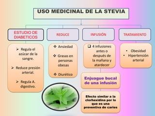 USO MEDICINAL DE LA STEVIA

ESTUDIO DE
DIABETICOS
 Regula el
azúcar de la
sangre.

 Reduce presión
arterial.
 Regula A.
digestivo.

REDUCE

INFUSIÓN

TRATAMIENTO

 Ansiedad

 4 infusiones
antes o
después de
la mañana y
atardecer

• Obesidad
• Hipertensión
arterial

 Grasas en
personas
obesas
 Diurético

Enjuague bucal
de una infusión
Efecto similar a la
clorhexidina por lo
que es una
preventiva de caries

 