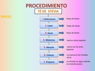 PROCEDIMIENTO
TÉ DE STEVIA
PASOS:

1.Seleccionar

Hojas de stevia

2. Lavar

Hojas de stevia

3. Secar

Hojas de stevia

4. Molemos

stevia y otras especies

5. Mezclar

stevia con las otras
especies

6. Colocar

La mezcla en las funditas
de té.

7. Preparar

La infusión en agua caliente
no necesita azúcar.

 
