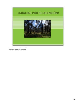¡Gracias por su atención!
18
 