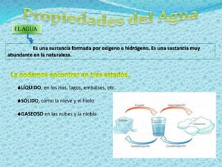 EL AGUA 
Es una sustancia formada por oxígeno e hidrógeno. Es una sustancia muy 
abundante en la naturaleza. 
LÍQUIDO, en...