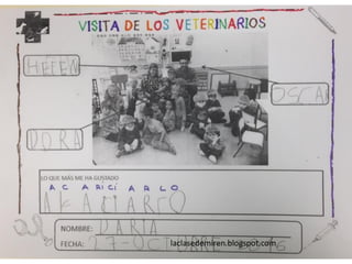 Proyecto hecho veterinarios