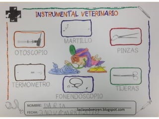 Proyecto hecho veterinarios
