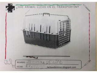 Proyecto hecho veterinarios