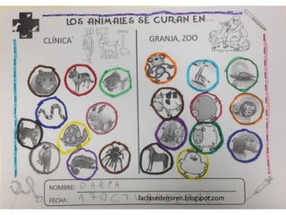 Proyecto hecho veterinarios