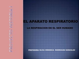 EL APARATO RESPIRATORIO
LA RESPIRACION EN EL SER HUMANO
PROFESORA ELVIA VERONICA RODRIGUEZ GONZALEZ
 