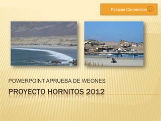 Pelucas Corporation




POWERPOINT APRUEBA DE WEONES

PROYECTO HORNITOS 2012
 