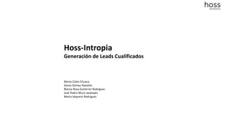 Proyecto hoss intropia