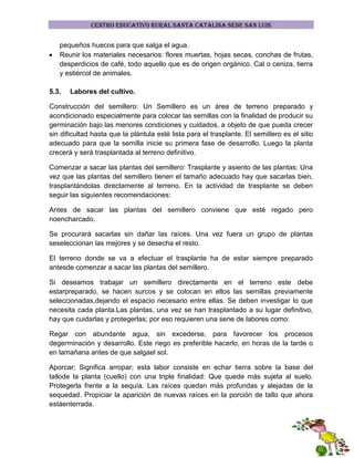 CENTRO EDUCATIVO RURAL SANTA CATALINA SEDE SAN LUIS

pequeños huecos para que salga el agua.
Reunir los materiales necesarios: flores muertas, hojas secas, conchas de frutas,
desperdicios de café, todo aquello que es de origen orgánico. Cal o ceniza, tierra
y estiércol de animales.
5.3.

Labores del cultivo.

Construcción del semillero: Un Semillero es un área de terreno preparado y
acondicionado especialmente para colocar las semillas con la finalidad de producir su
germinación bajo las menores condiciones y cuidados, a objeto de que pueda crecer
sin dificultad hasta que la plántula esté lista para el trasplante. El semillero es el sitio
adecuado para que la semilla inicie su primera fase de desarrollo. Luego la planta
crecerá y será trasplantada al terreno definitivo.
Comenzar a sacar las plantas del semillero: Trasplante y asiento de las plantas: Una
vez que las plantas del semillero tienen el tamaño adecuado hay que sacarlas bien,
trasplantándolas directamente al terreno. En la actividad de trasplante se deben
seguir las siguientes recomendaciones:
Antes de sacar las plantas del semillero conviene que esté regado pero
noencharcado.
Se procurará sacarlas sin dañar las raíces. Una vez fuera un grupo de plantas
seseleccionan las mejores y se desecha el resto.
El terreno donde se va a efectuar el trasplante ha de estar siempre preparado
antesde comenzar a sacar las plantas del semillero.
Si deseamos trabajar un semillero directamente en el terreno este debe
estarpreparado, se hacen surcos y se colocan en ellos las semillas previamente
seleccionadas,dejando el espacio necesario entre ellas. Se deben investigar lo que
necesita cada planta.Las plantas, una vez se han trasplantado a su lugar definitivo,
hay que cuidarlas y protegerlas; por eso requieren una serie de labores como:
Regar con abundante agua, sin excederse, para favorecer los procesos
degerminación y desarrollo. Este riego es preferible hacerlo, en horas de la tarde o
en lamañana antes de que salgael sol.
Aporcar; Significa arropar; esta labor consiste en echar tierra sobre la base del
tallode la planta (cuello) con una triple finalidad: Que quede más sujeta al suelo.
Protegerla frente a la sequía. Las raíces quedan más profundas y alejadas de la
sequedad. Propiciar la aparición de nuevas raíces en la porción de tallo que ahora
estáenterrada.

 