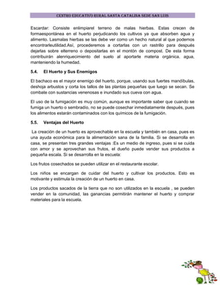 CENTRO EDUCATIVO RURAL SANTA CATALINA SEDE SAN LUIS

Escardar: Consiste enlimpiarel terreno de malas hierbas. Estas crecen de
formaespontánea en el huerto perjudicando los cultivos ya que absorben agua y
alimento. Lasmalas hierbas se las debe ver como un hecho natural al que podemos
encontrarleutilidad.Así, procederemos a cortarlas con un rastrillo para después
dejarlas sobre elterreno o depositarlas en el montón de compost. De esta forma
contribuirán alenriquecimiento del suelo al aportarle materia orgánica. agua,
manteniendo la humedad.
5.4.

El Huerto y Sus Enemigos

El bachaco es el mayor enemigo del huerto, porque, usando sus fuertes mandíbulas,
deshoja arbustos y corta los tallos de las plantas pequeñas que luego se secan. Se
combate con sustancias venenosas e inundado sus cueva con agua.
El uso de la fumigación es muy común, aunque es importante saber que cuando se
fumiga un huerto o sembradío, no se puede cosechar inmediatamente después, pues
los alimentos estarán contaminados con los químicos de la fumigación.
5.5.

Ventajas del Huerto

La creación de un huerto es aprovechable en la escuela y también en casa, pues es
una ayuda económica para la alimentación sana de la familia. Si se desarrolla en
casa, se presentan tres grandes ventajas :Es un medio de ingreso, pues si se cuida
con amor y se aprovechan sus frutos, el dueño puede vender sus productos a
pequeña escala. Si se desarrolla en la escuela:
Los frutos cosechados se pueden utilizar en el restaurante escolar.
Los niños se encargan de cuidar del huerto y cultivar los productos. Esto es
motivante y estimula la creación de un huerto en casa.
Los productos sacados de la tierra que no son utilizados en la escuela , se pueden
vender en la comunidad, las ganancias permitirán mantener el huerto y comprar
materiales para la escuela.

 