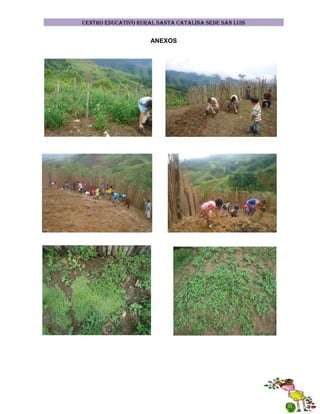 CENTRO EDUCATIVO RURAL SANTA CATALINA SEDE SAN LUIS

ANEXOS

 
