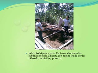  Julián Rodríguez y Javier Espinosa abonando las
subdivisiones de la huerta con boñiga traída por los
niños de transición y primero.
 