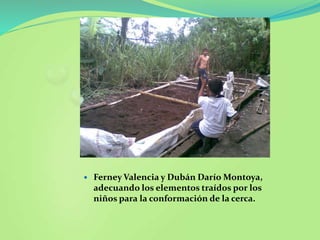  Ferney Valencia y Dubán Darío Montoya,
adecuando los elementos traídos por los
niños para la conformación de la cerca.
 