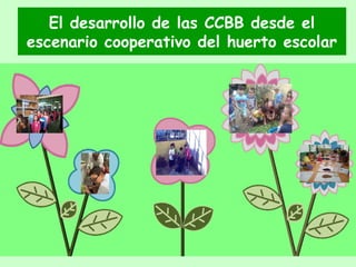 El desarrollo de las CCBB desde el
escenario cooperativo del huerto escolar
 