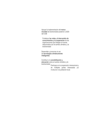 Apoyar la implementación del marco
mundial de biodiversidad posterior a 2020
del CDB
Fortalecer las redes, el intercambio de
conocimientos y la cooperación de las
organizaciones que trabajan en temas
relacionados con el cambio climático y la
biodiversidad
Desarrollar y promover el uso
de tecnologías climáticamente
inteligentes
Contribuir a la sensibilización y
educación sobre el cambio climático y la
biodiversidad
Participar en la cooperación intersectorial y
de múltiples partes interesadas y/o
involucrar a la población local.
 