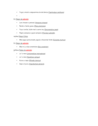 • Yvyja´u moroti o atajacaminos de ala blanca (Caprimulgus candicans)
• .
En Peligro de extinción:
• Loro vinaceo o paracaú (Amazona vinacea).
• Ñandú o ñandu guasu (Rhea americana).
• Yryvu ruvicha, buitre real o cuervo rey (Sarcoramphus papa).
• Pájaro campana o guyra campana (Procnias nudicollis).
reptiles Peligro Crítico:
• Mboi jagua (pronunciado yagua) o Anaconda Verde (Eunectes murinus).
En Peligro de extinción:
• Mboi ro´y o boa constrictora (Boa constrictor).
Anfibios Peligro de extinción:
• Ju´i o rana (Limnomedusa macroglossa).
• Ju´i o rana (Hypsiboas caingua).
• Kururu o sapo (Rhinella ictericus).
• Sapo o kururu (Argenteohyla siemersi).
 