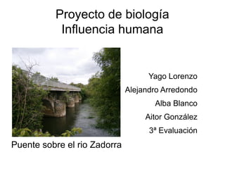 Proyecto de biología
Influencia humana
Yago Lorenzo
Alejandro Arredondo
Alba Blanco
Aitor González
3ª Evaluación
Puente sobre el rio Zadorra
 