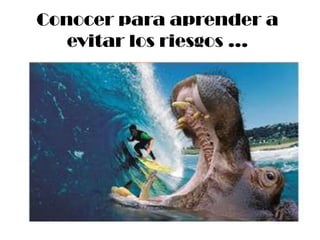 Conocer para aprender a
   evitar los riesgos …
 
