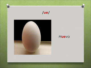 /ue/




       Huevo
 