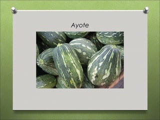 Ayote
 