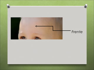 Frente
 