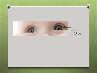 Ojos
 